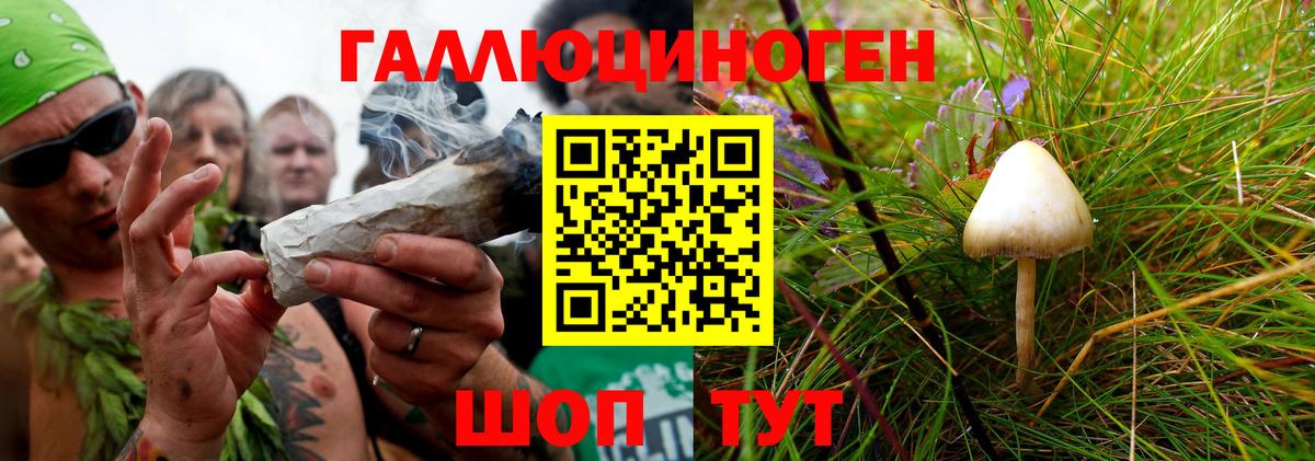 Псилоцибиновые грибы Magic Shrooms  Галлюциногенные грибы Magic Shrooms  Нерюнгри  Вход с VPN 